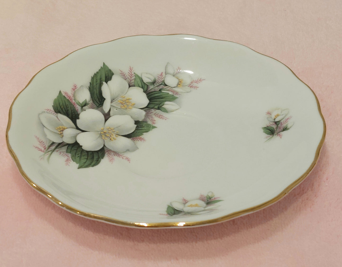 RV007- Royal Vale Bone China Teacup and Saucer with White Blossom Flower