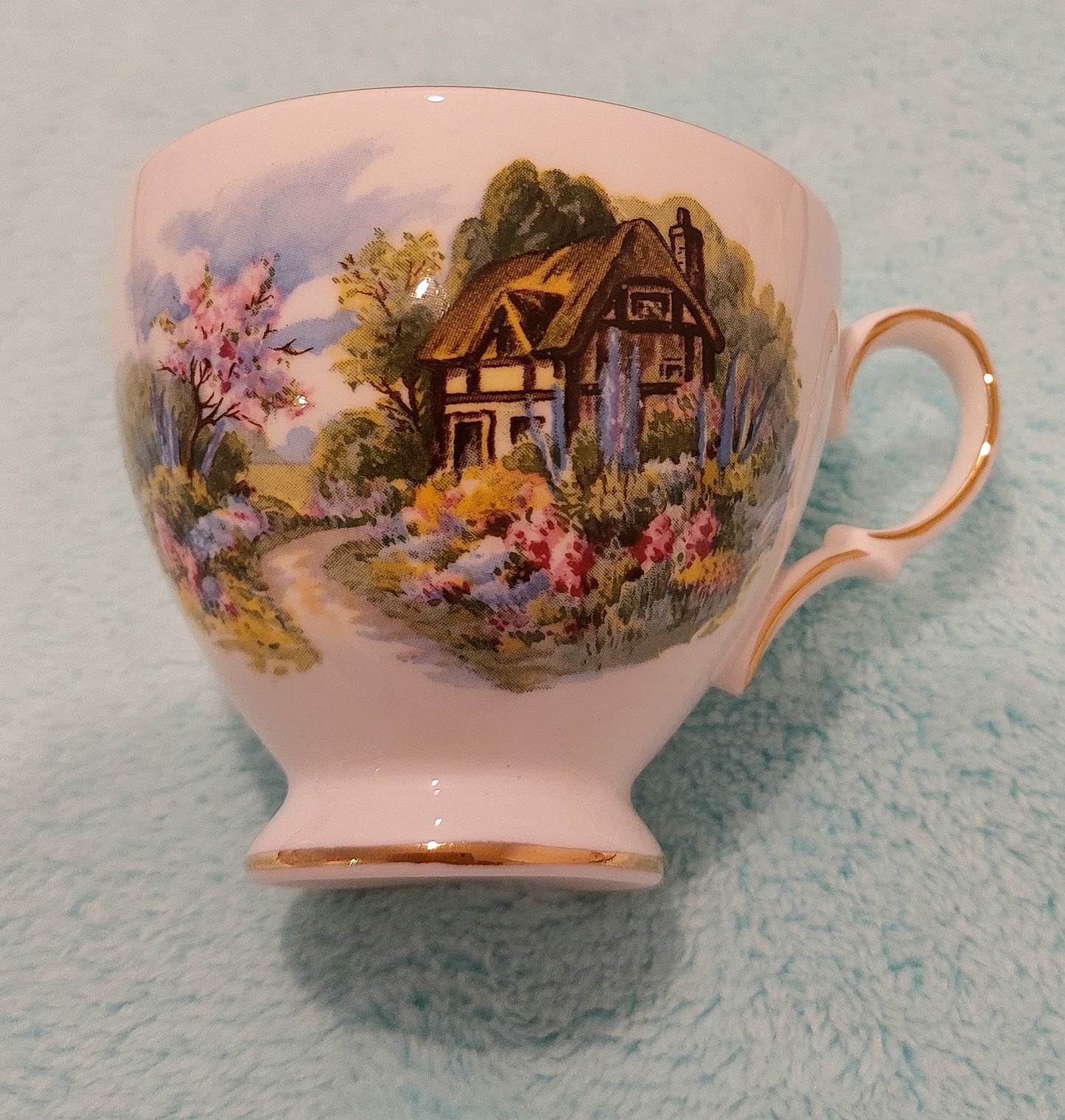 RV012 - Royal Vale Bone China Teacup & Saucer with Beautiful Countryside Cottage Scene & Flowers Garden - Made in England