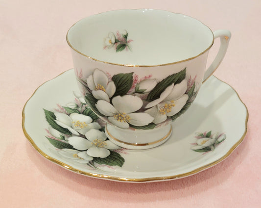 RV007- Royal Vale Bone China Teacup and Saucer with White Blossom Flower