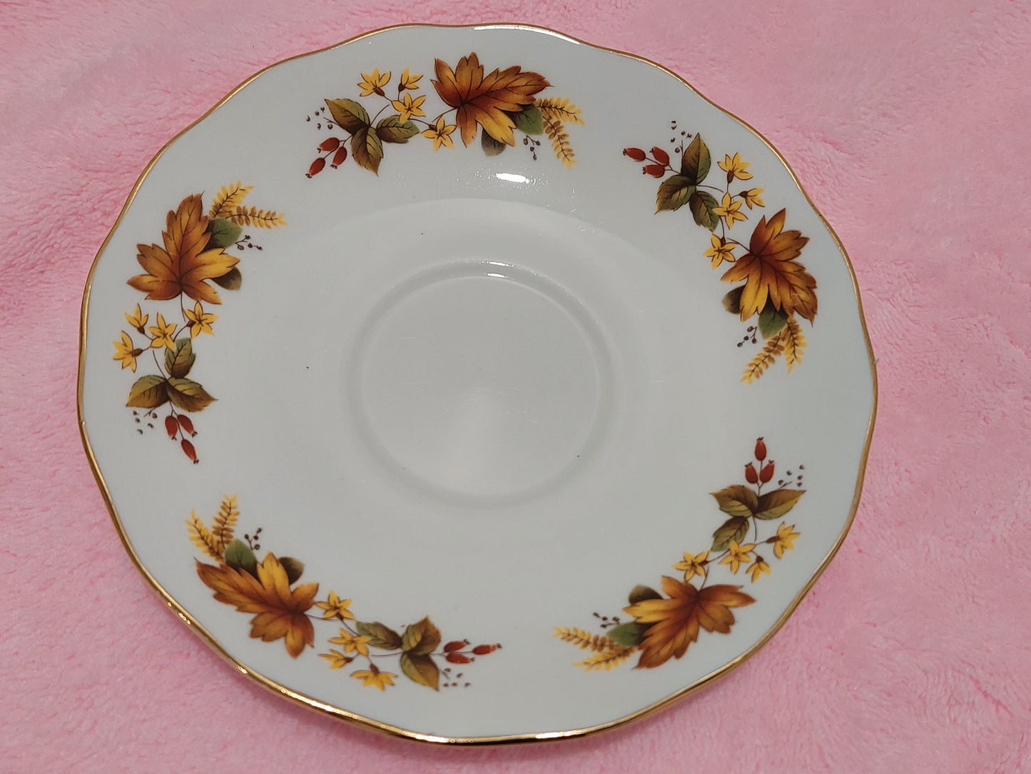 QA009 - Queen Anne China Bone "Fall Design" Teacup and Saucer