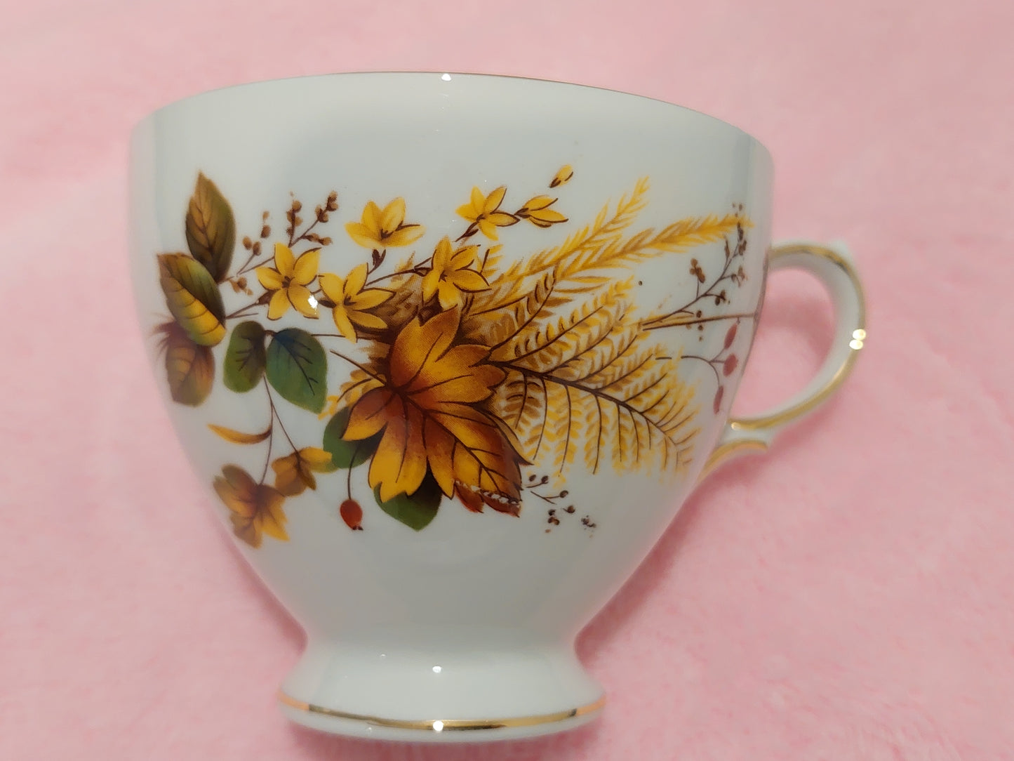 QA009 - Queen Anne China Bone "Fall Design" Teacup and Saucer