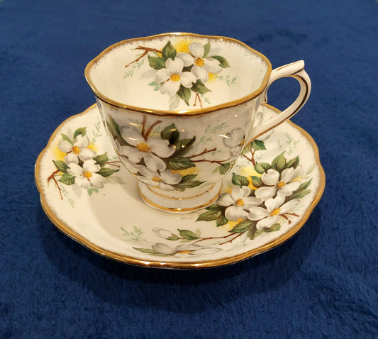 RA021 - Royal Albert Bone China White Dogwood Teacup and saucer