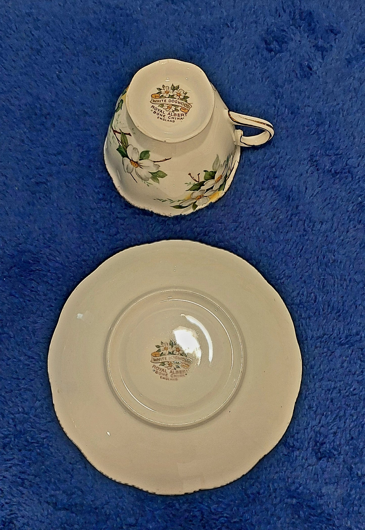 RA021 - Royal Albert Bone China White Dogwood Teacup and saucer