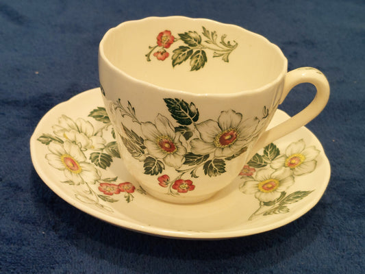 SP004 - Spode Sylvan Ceramic Tea Set