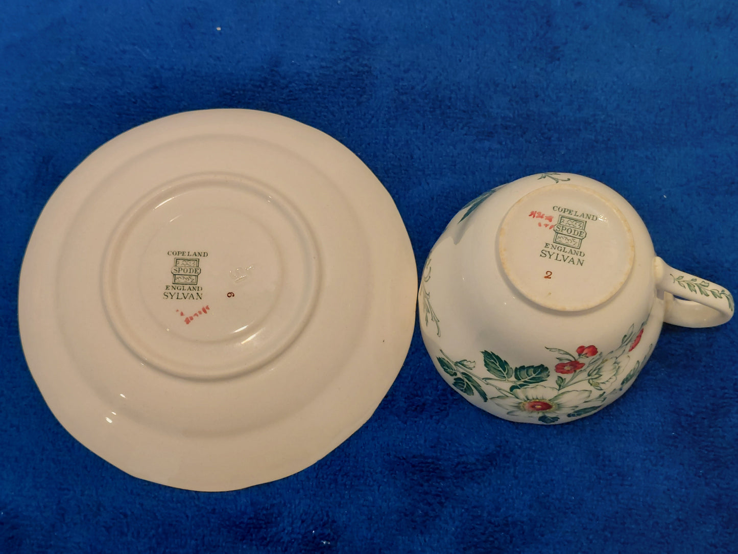 SP004 - Spode Sylvan Ceramic Tea Set